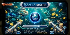 Bắn Cá MAY88 – Đủ Hay Để Ở Lại Hay Không