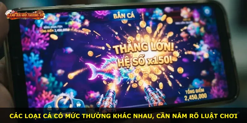 Các loại cá có mức thưởng khác nhau, cần nắm rõ luật chơi