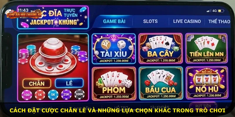 Cách đặt cược chẵn lẻ và những lựa chọn khác trong trò chơi