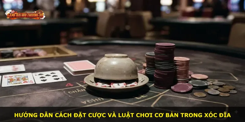Hướng dẫn cách đặt cược và luật chơi cơ bản trong xóc đĩa