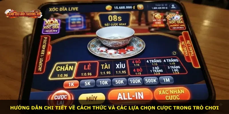 Hướng dẫn chi tiết về cách thức và các lựa chọn cược trong trò chơi