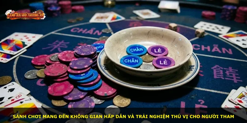Sảnh chơi mang đến không gian hấp dẫn và trải nghiệm thú vị cho người tham